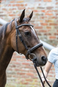 Bild 129 - Vivi und Mare